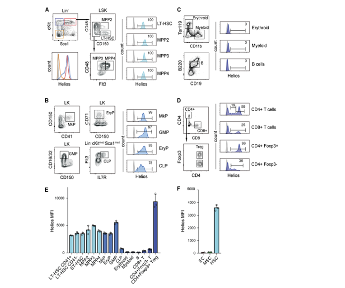 Helios represses megakaryocyte priming in hematopoietic stem and progenitor cells